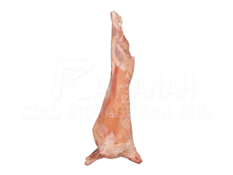 Mutton Carcass<br><span class='malay'>Mutton Carcass (Seekor)</span>